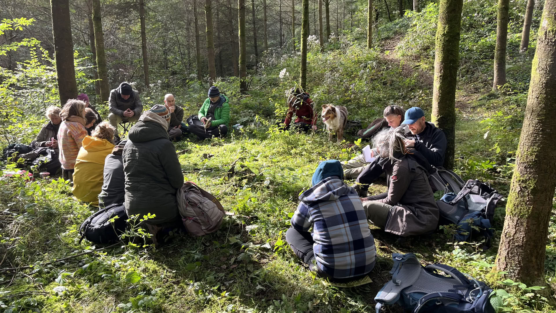Natur- & Seelen-Jahresausbildung 2027 – 15. Mai bis 14. November 2027
