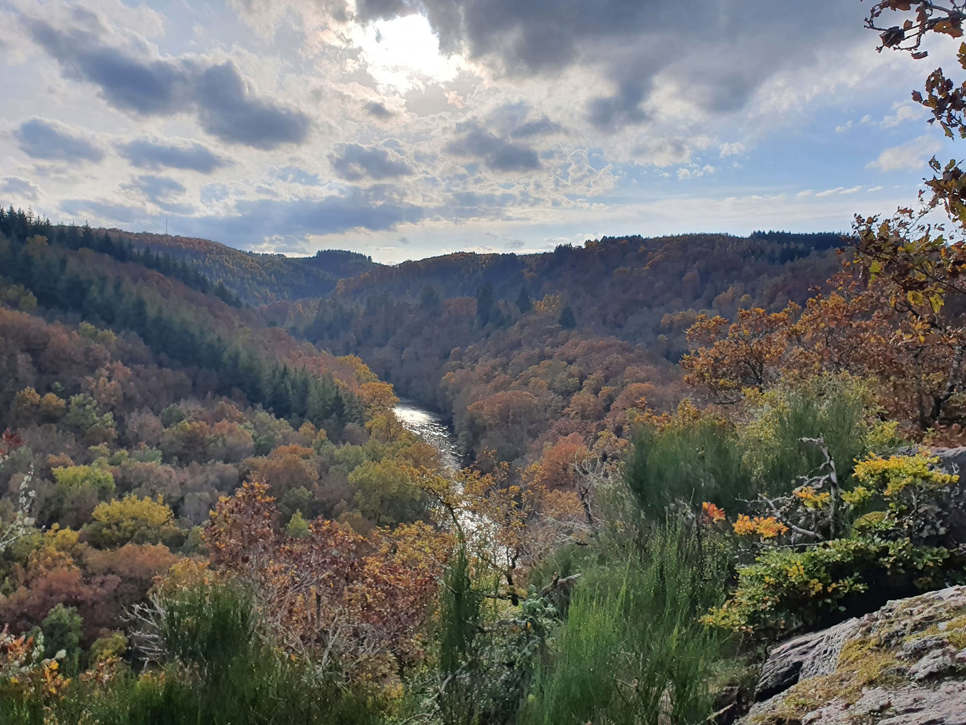 Einsame Erdreise – 24-Stunden-Vision-Quest im Wald – 11. bis 13. September 2026