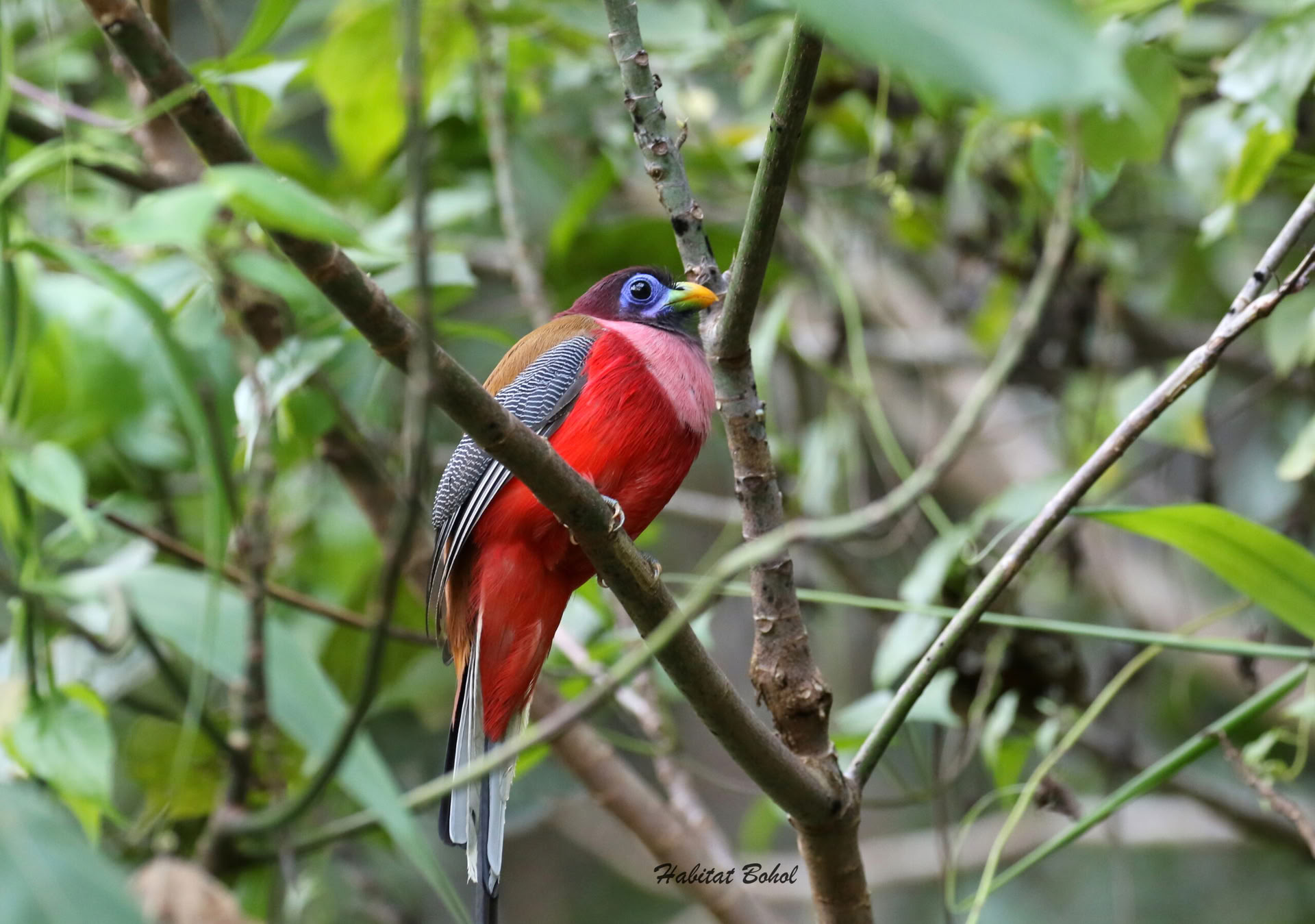 5 Tage & 4 Nächte Achtsamkeitsreise