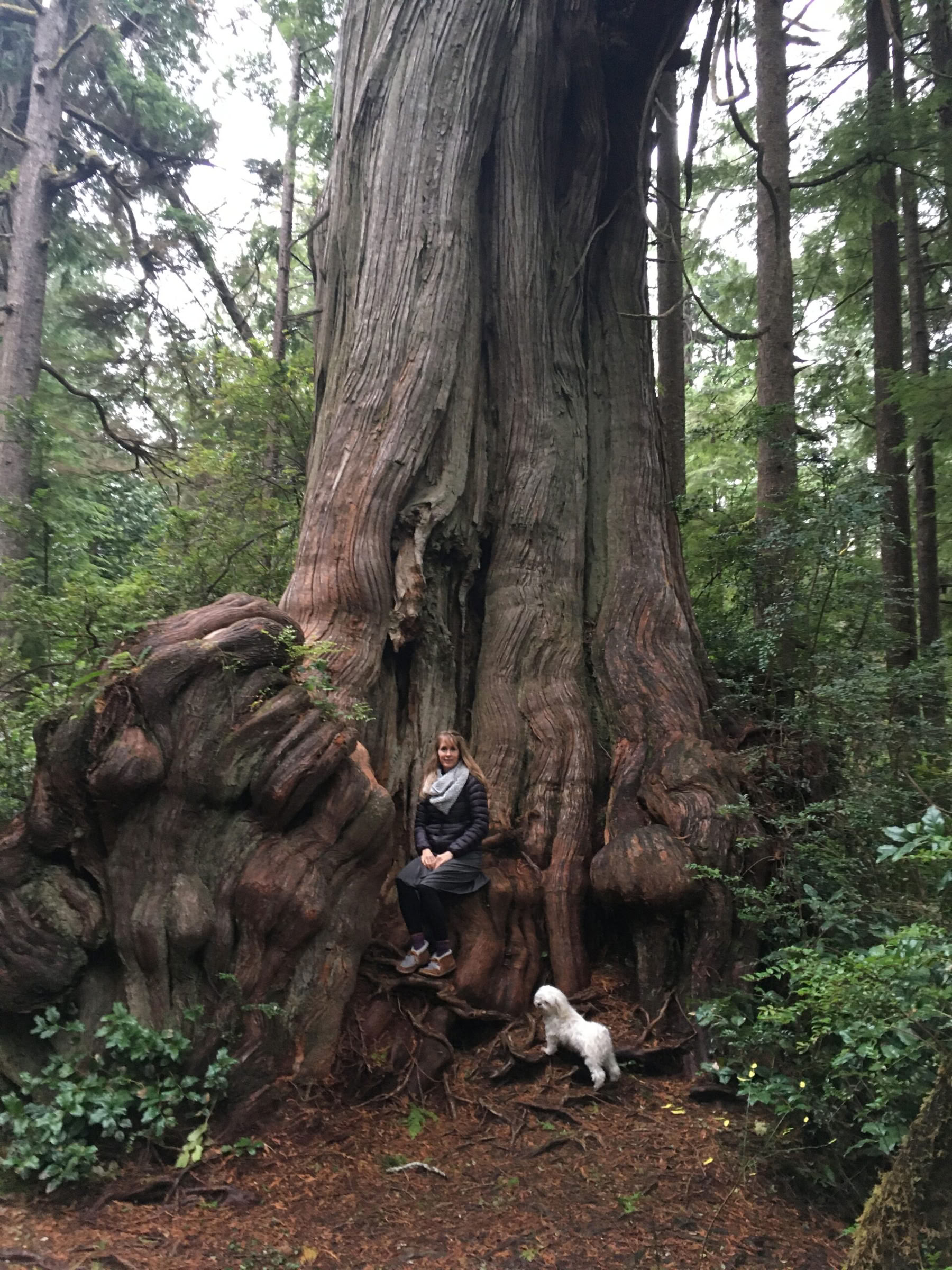 Retreat im Olympic-Nationalpark: Wald- und Strandbaden