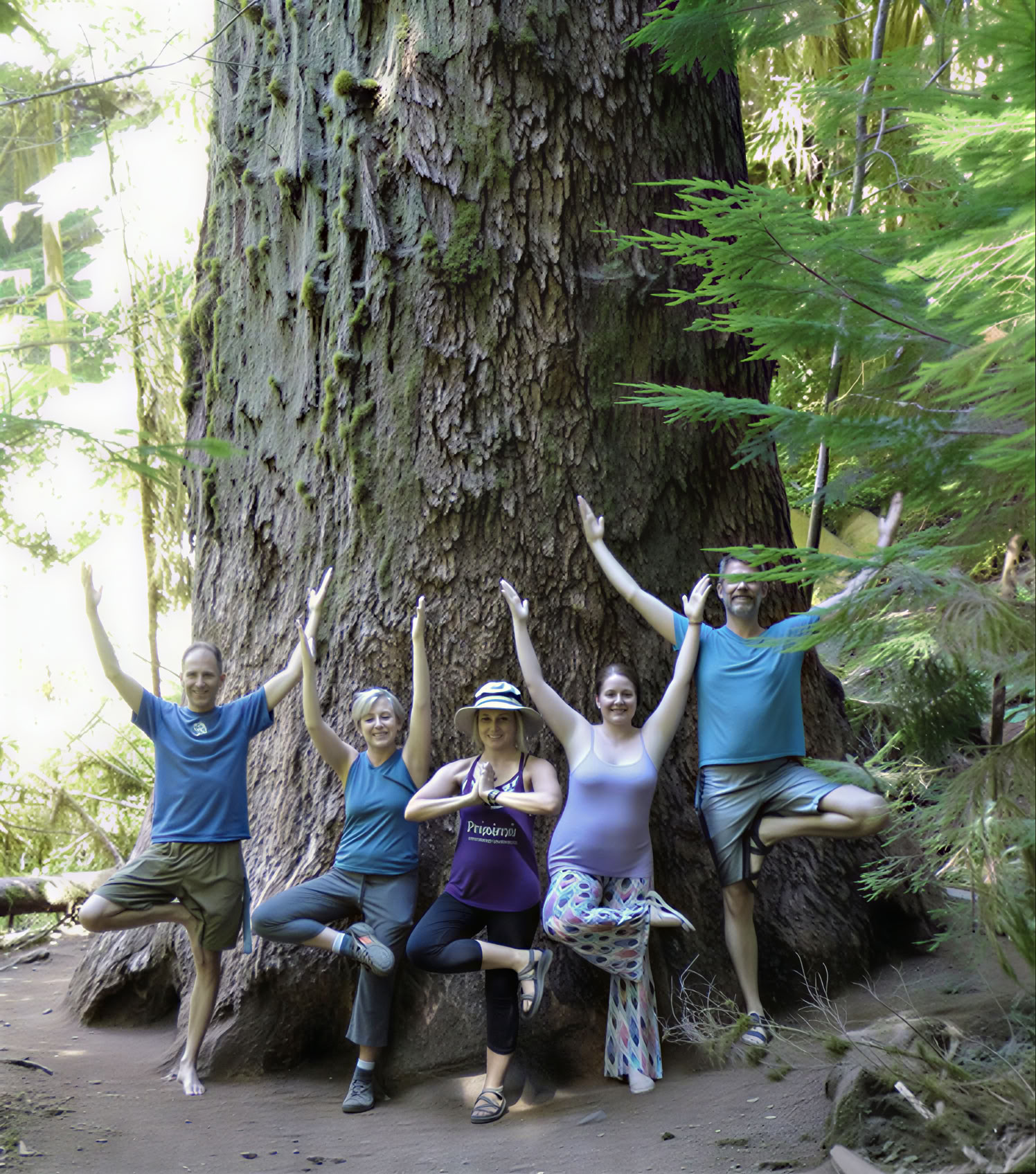 Retreat im Olympic-Nationalpark: Wald- und Strandbaden