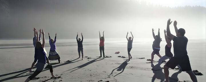 Retreat im Olympic-Nationalpark: Wald- und Strandbaden