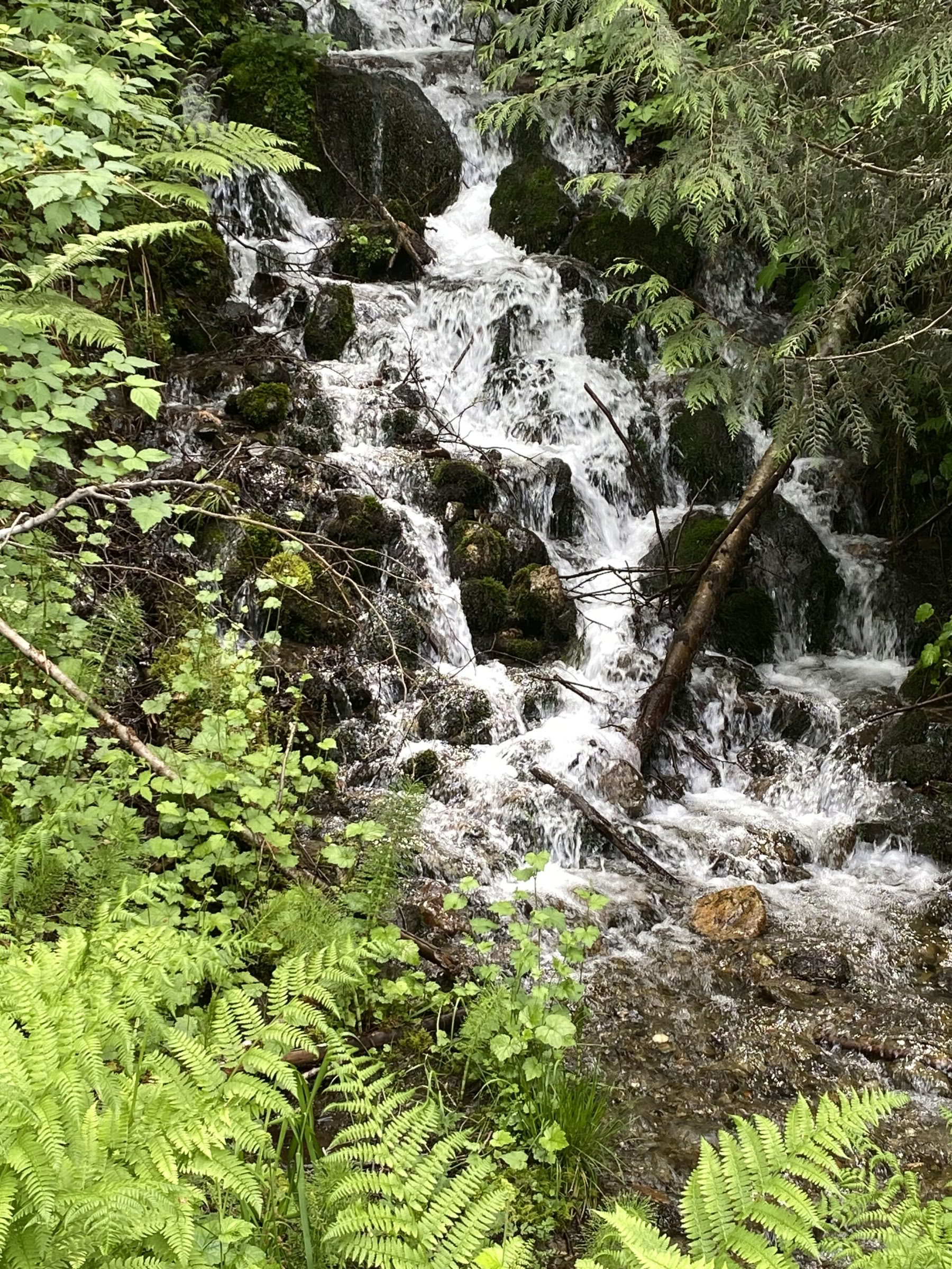 Yoga-Wander-Heil-Retreat an den Fox Creek Falls
