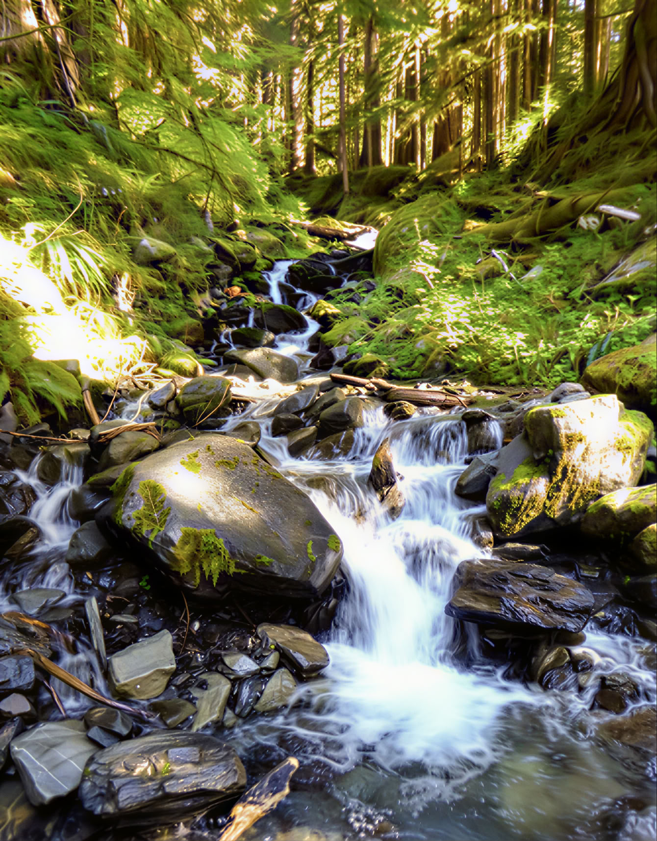 Yoga-Wander-Heil-Retreat an den Fox Creek Falls