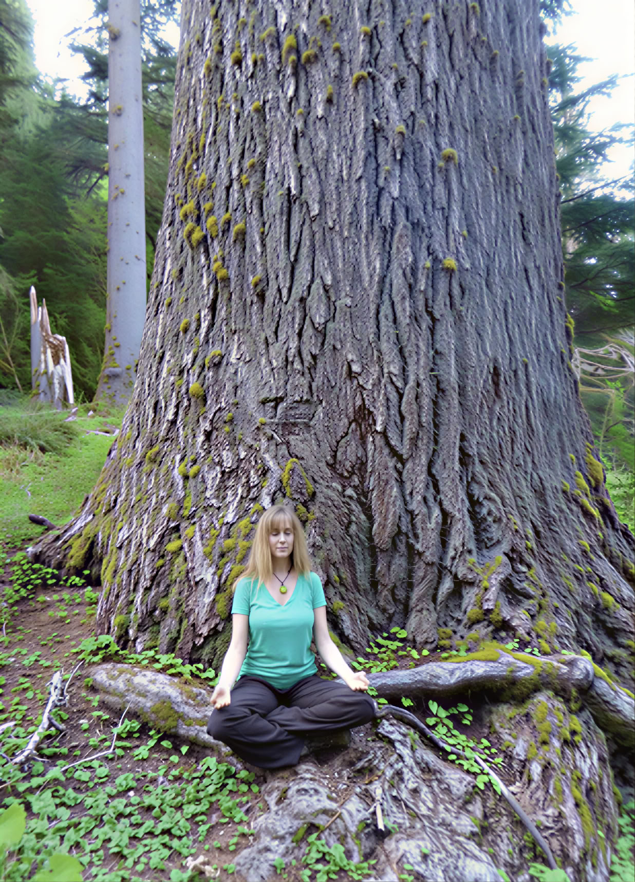 Meditationswanderung-Retreat an den Cascades