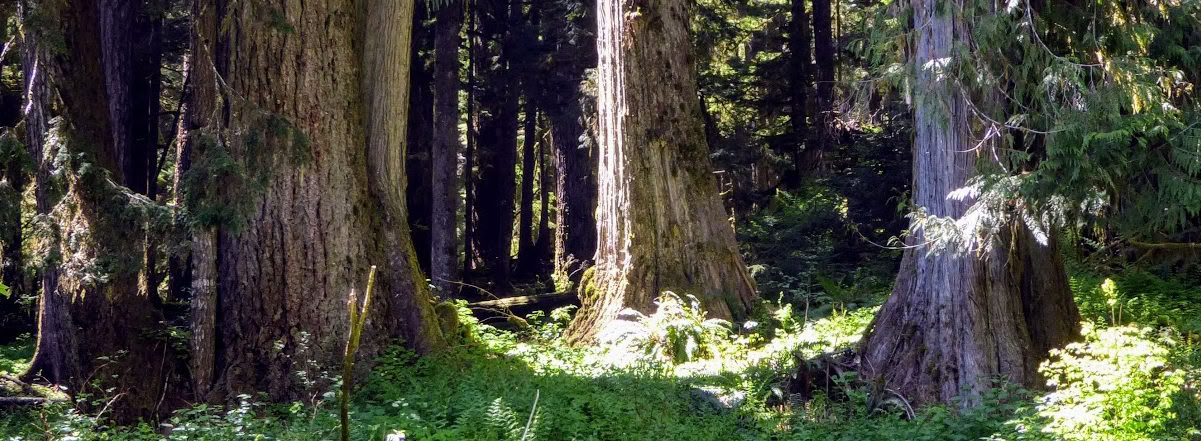 Heilendes Retreat in Frog Creek, WA