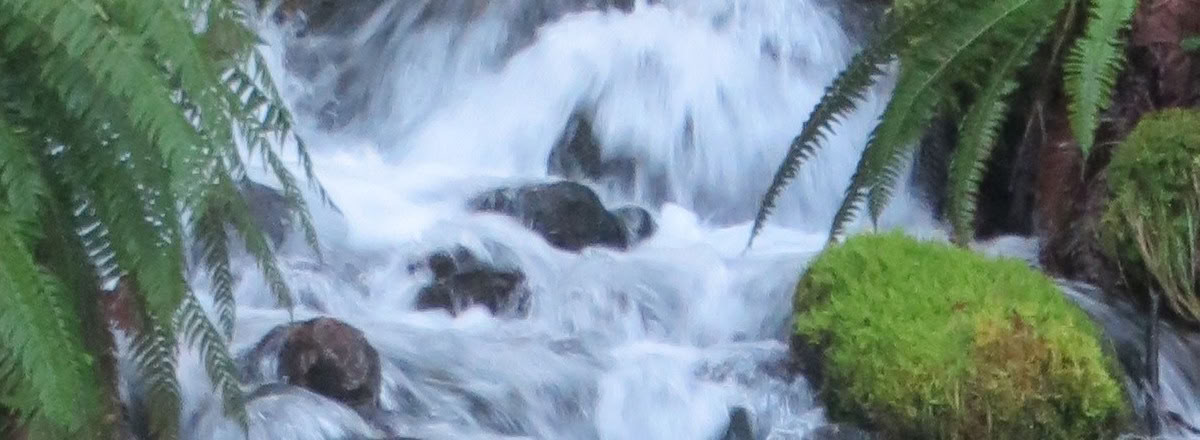 Heilendes Retreat in Frog Creek, WA