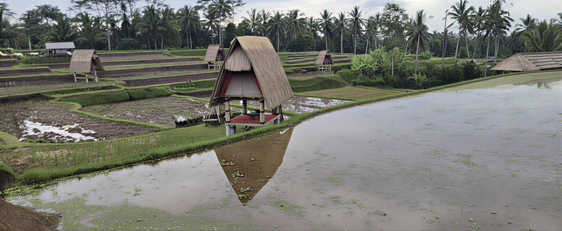 Bali-Retreat