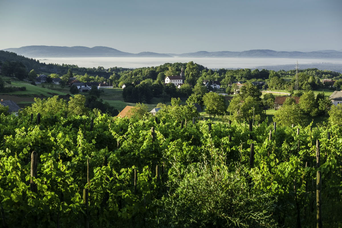 Wellness-Auszeit in Slowenien