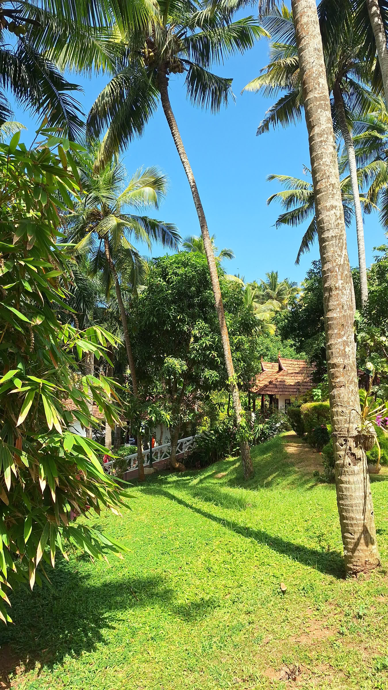 Indien, Klimaanlage, Cottage, Doppelzimmer