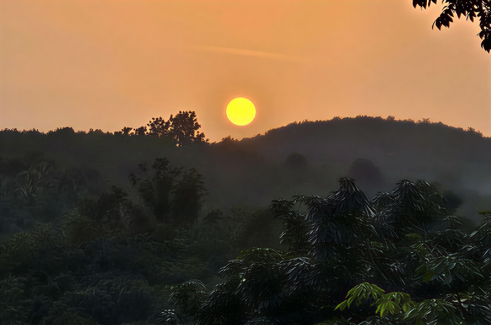 Wellness-Retreat in Kerala