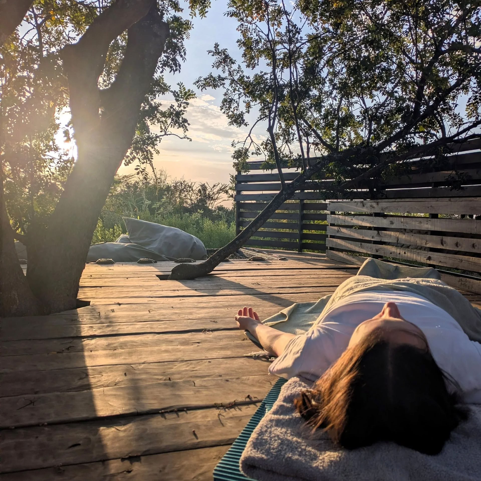 Wiederverbinden, Ausruhen & Zur Wildnis Zurückkehren: Kenia Yoga Retreat 2027