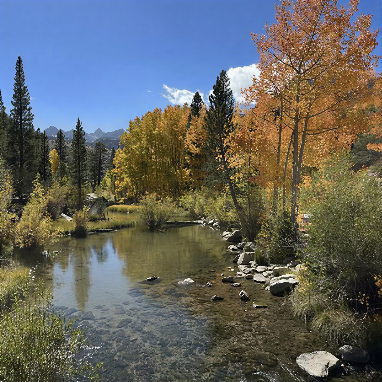 Yoga-Auszeit am Bishop Creek