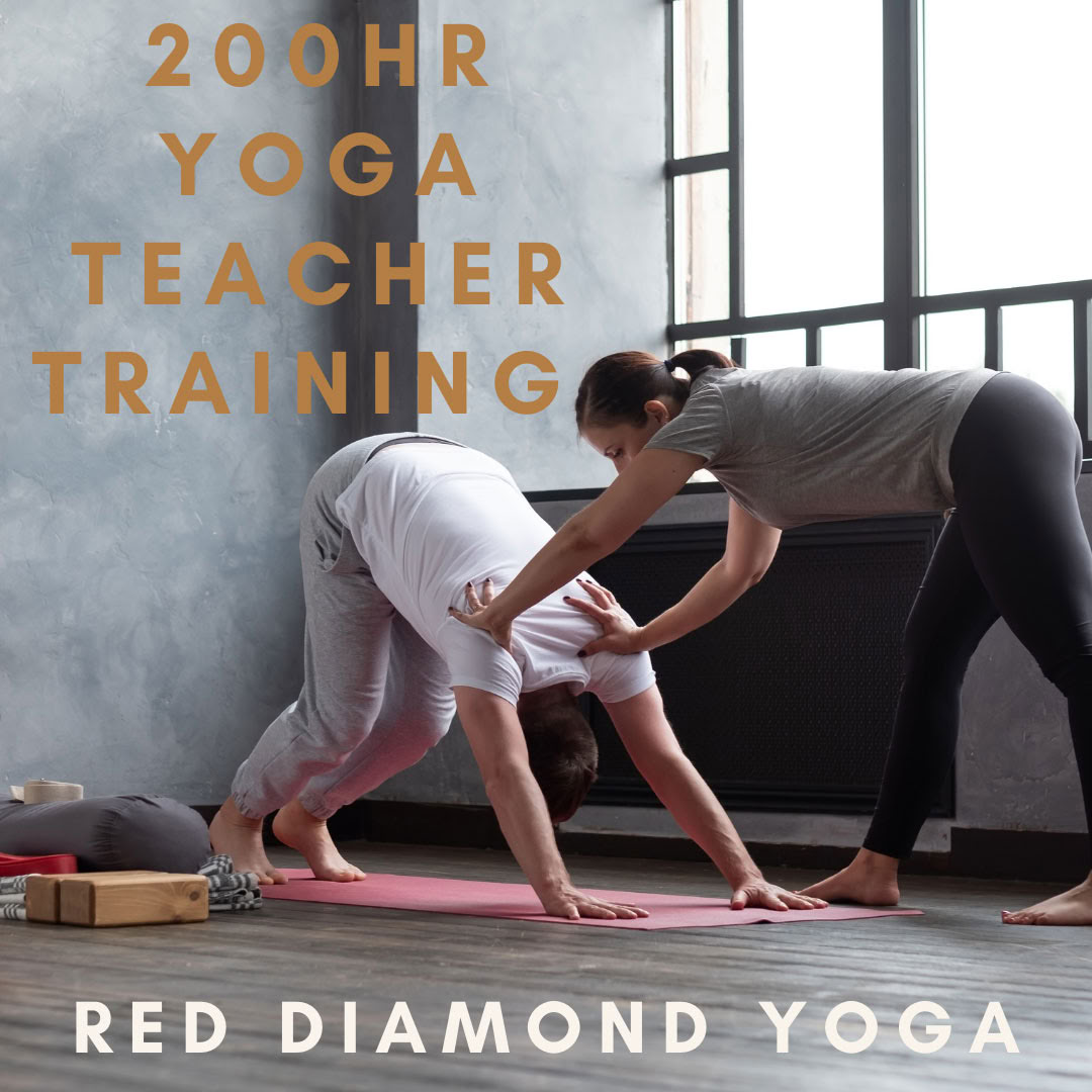 200-Stunden-Vinyasa-Yogalehrerausbildung, Yoga Alliance-zertifiziert