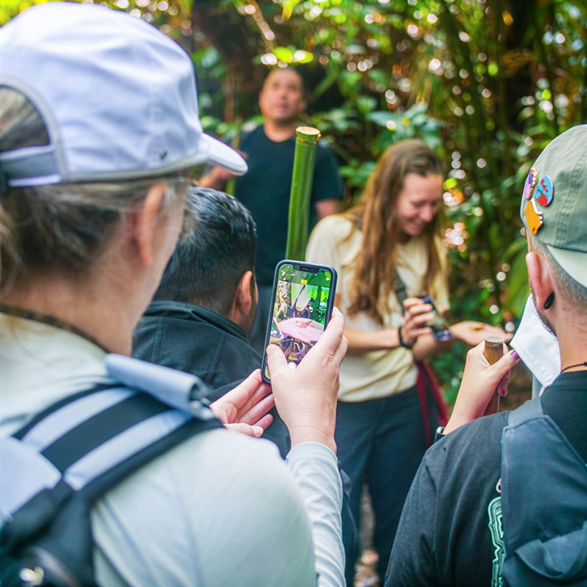 Private Nebelwald-Tour – Pantropical Trail (1,5 Std.)