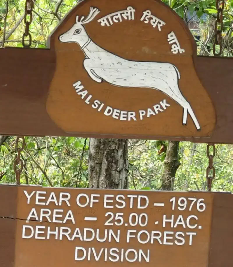 300-Stunden-Yoga-TTC in Dehradun
