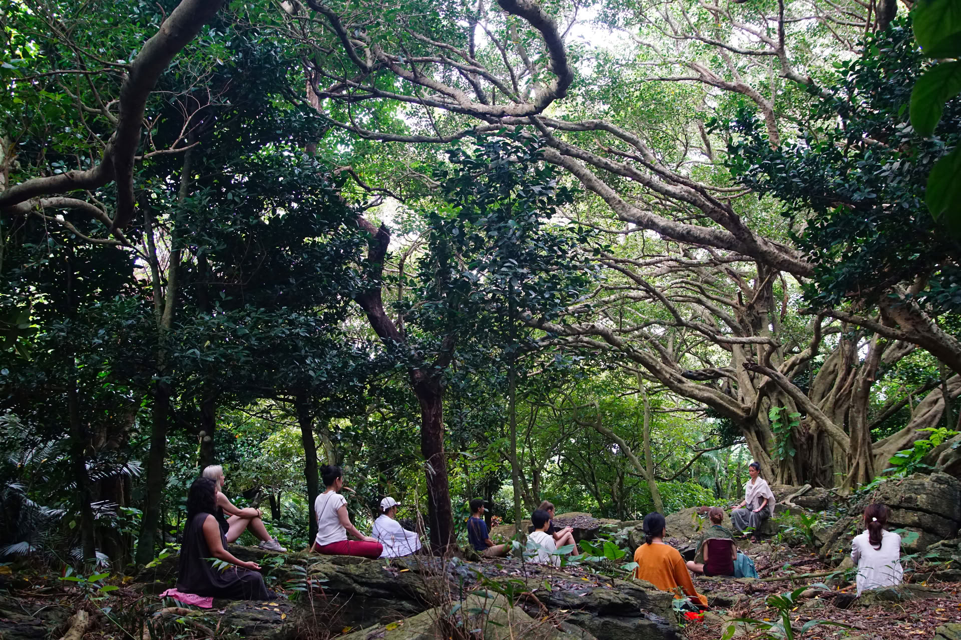 Die Kunst des Entschleunigens: Yoga- und Qigong-Retreat mit Yoga kuukan