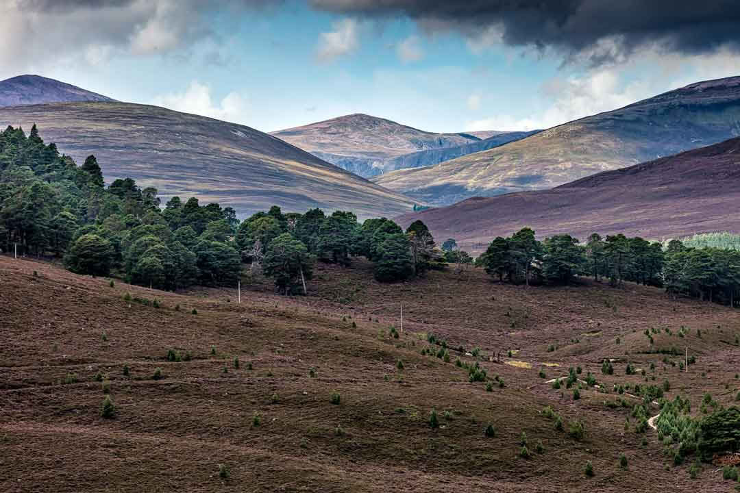 3-tägiges Yoga-Retreat Schottland – 2. bis 5. Oktober