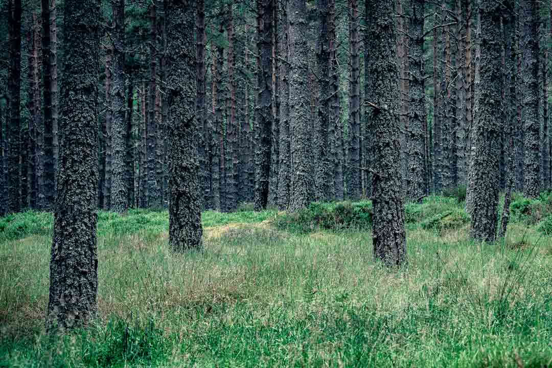 3-tägiges Yoga-Retreat Schottland – 2. bis 5. Oktober