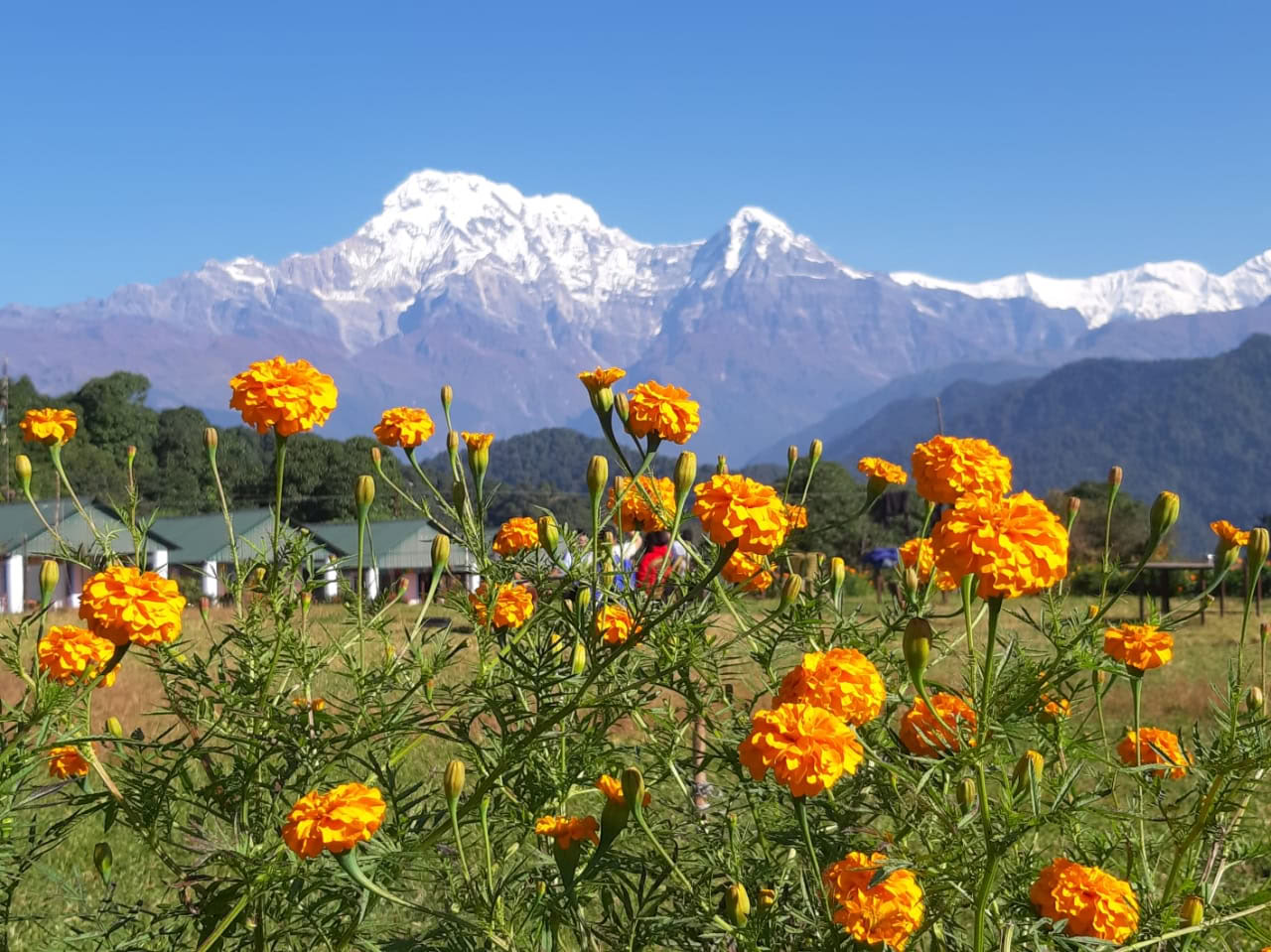Yoga-Retreat in Dhampus