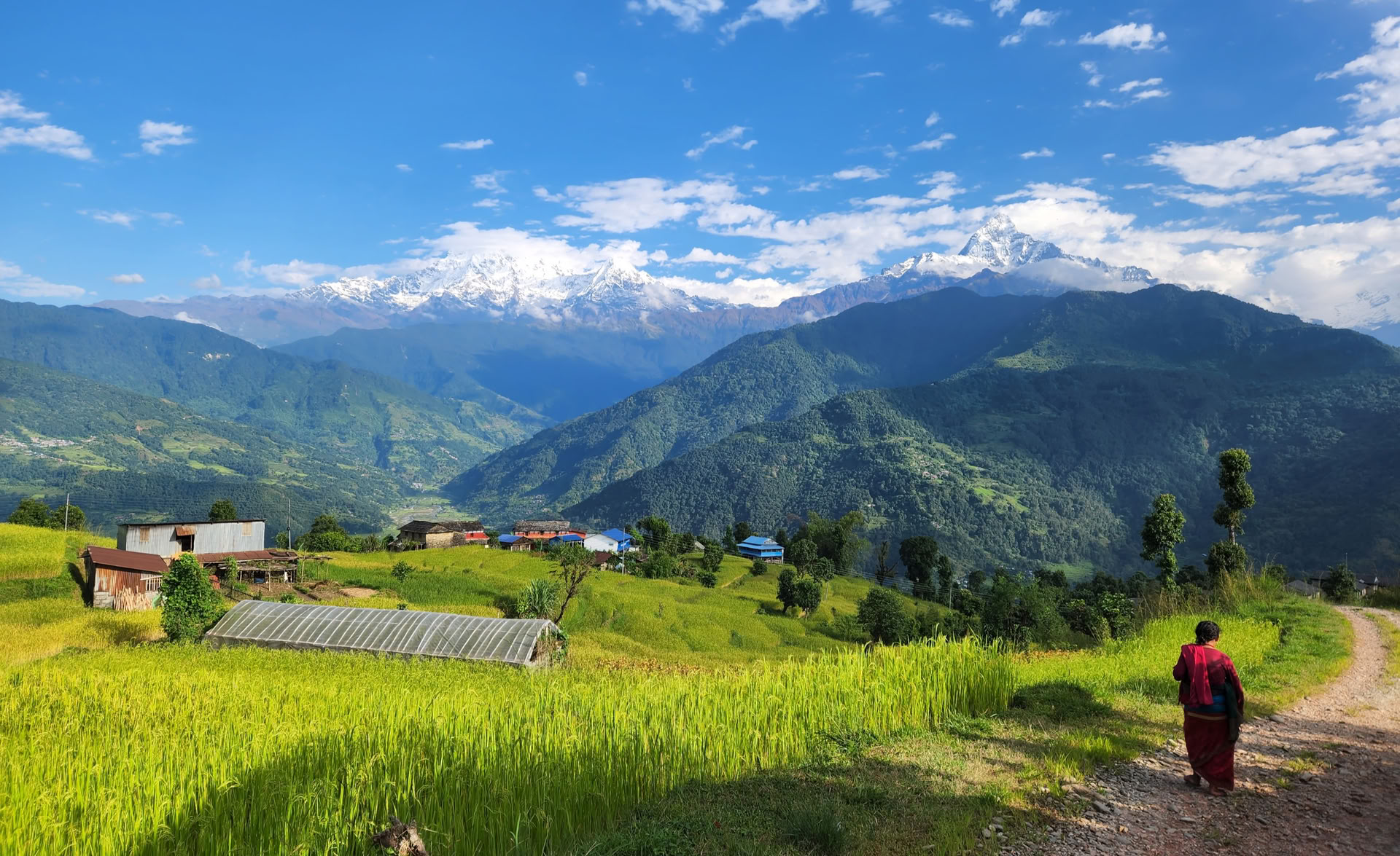 Himalaya-Aussicht YTTC