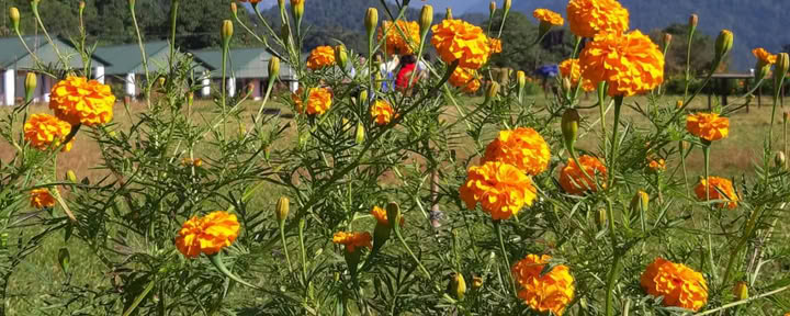 3 Tage/2 Nächte: Yoga Retreat in Dhampus
