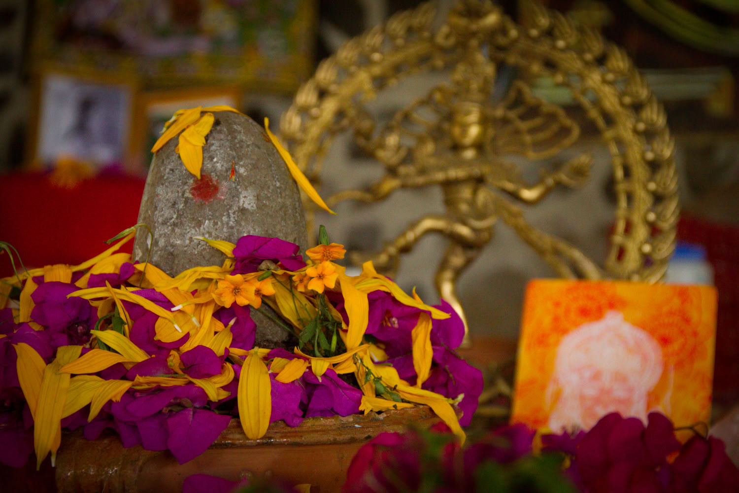 Einführung in Vipassana