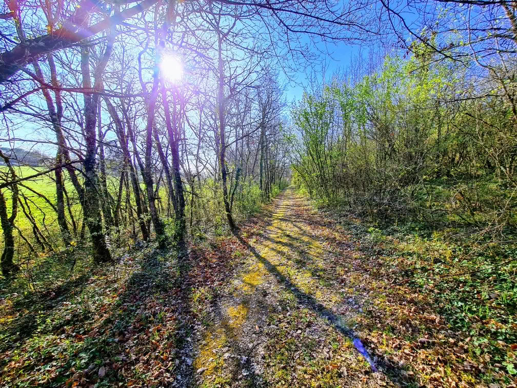 Detox, Yoga & Wohlbefinden
