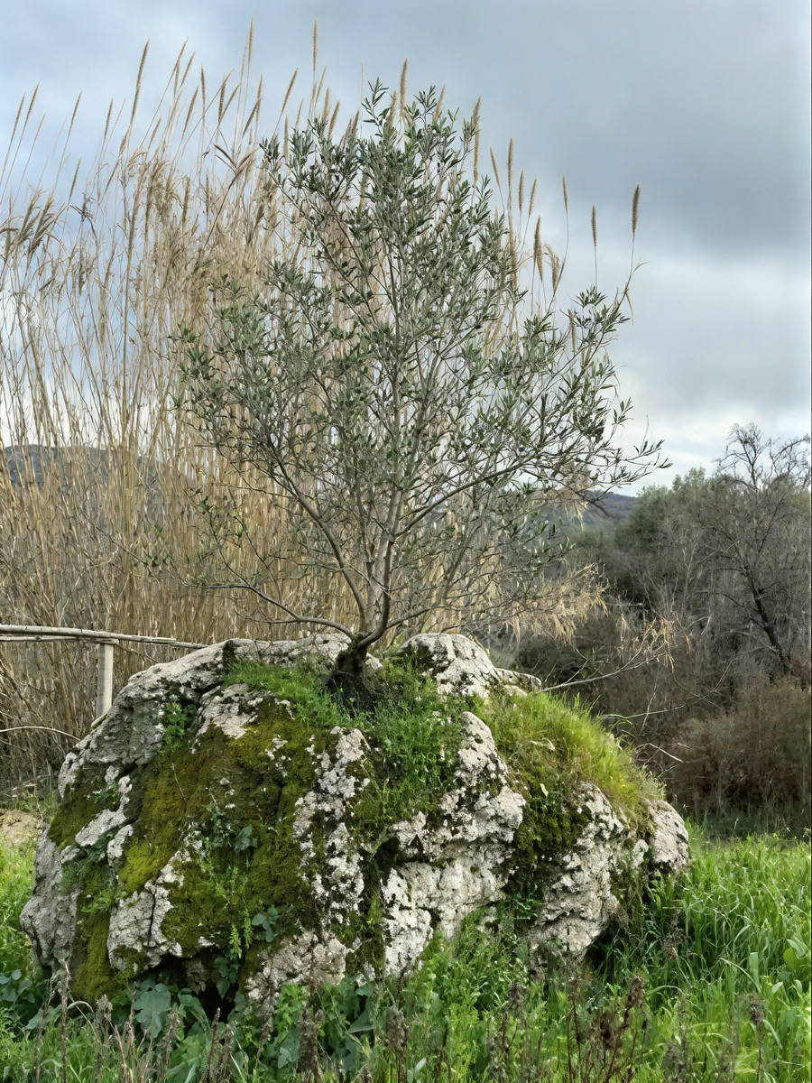 Retreat mieten