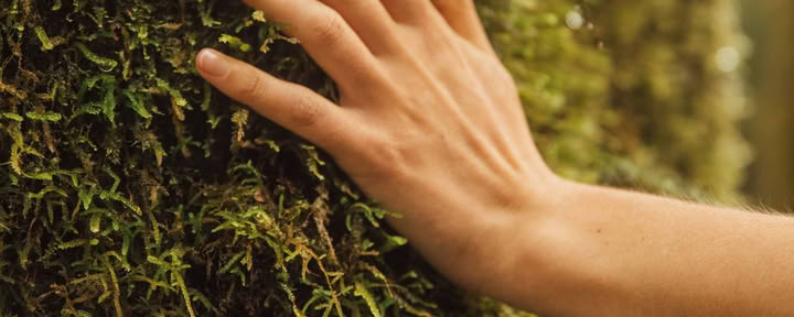 Verbinde dich wieder mit der Natur