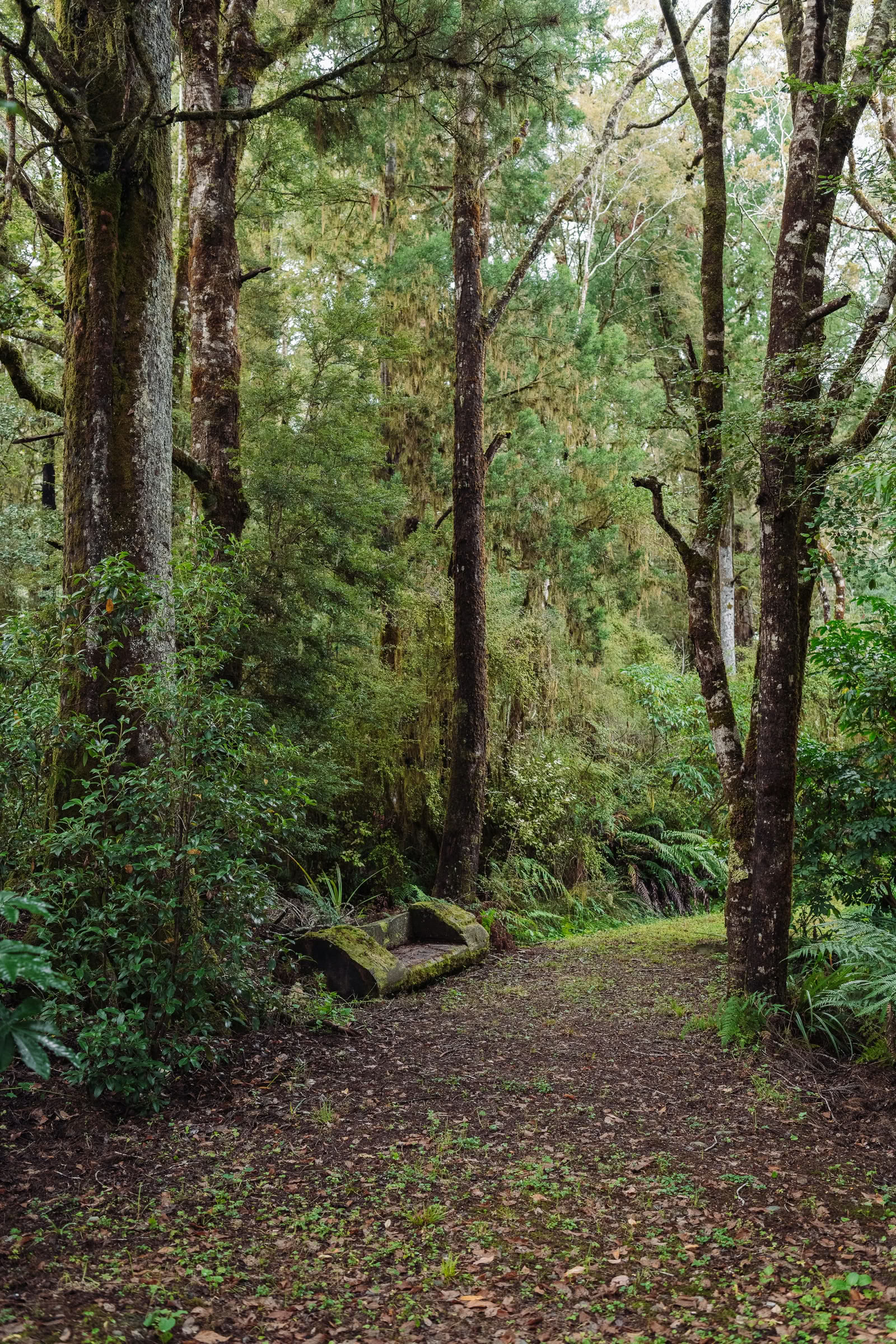 Natur- und Yoga-Retreat – Südinsel, Neuseeland mit Joan Hyman | Maruia River Retreat: Luxus-Wellness-Resort Neuseeland