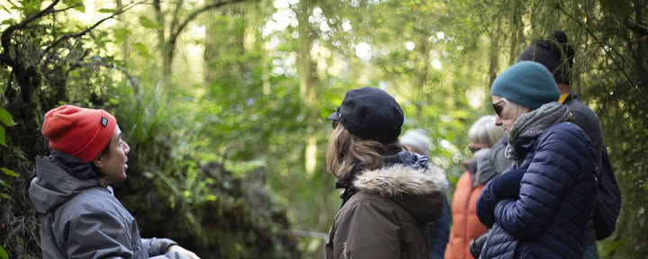 Natur- und Yoga-Retreat – Südinsel, Neuseeland mit Joan Hyman | Maruia River Retreat: Luxus-Wellness-Resort Neuseeland