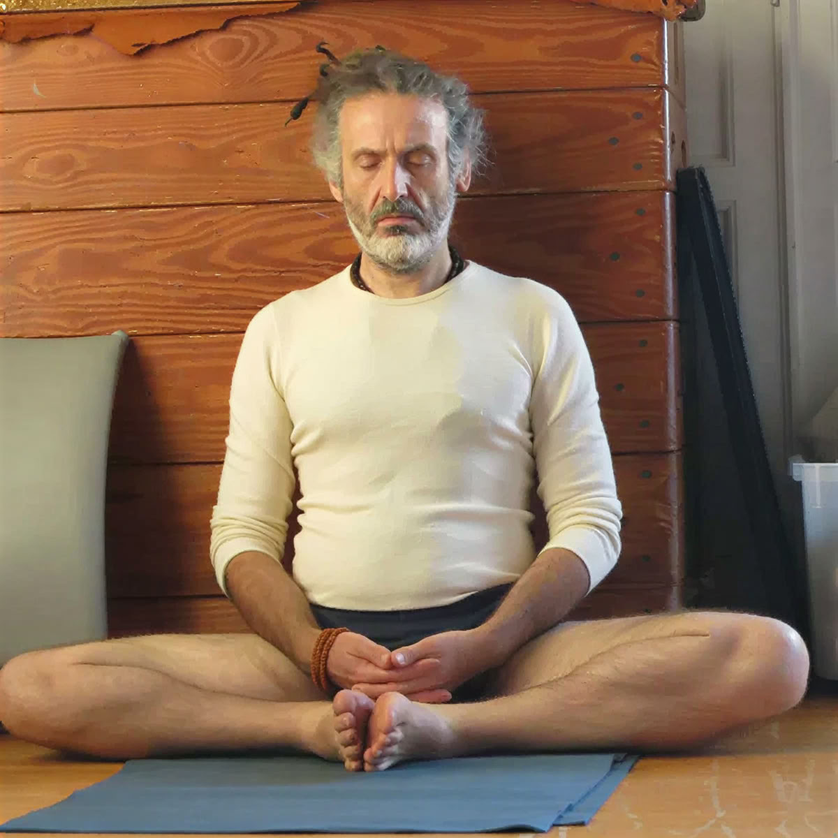 Iyengar-Yoga-Workshop mit Christian Pisano
