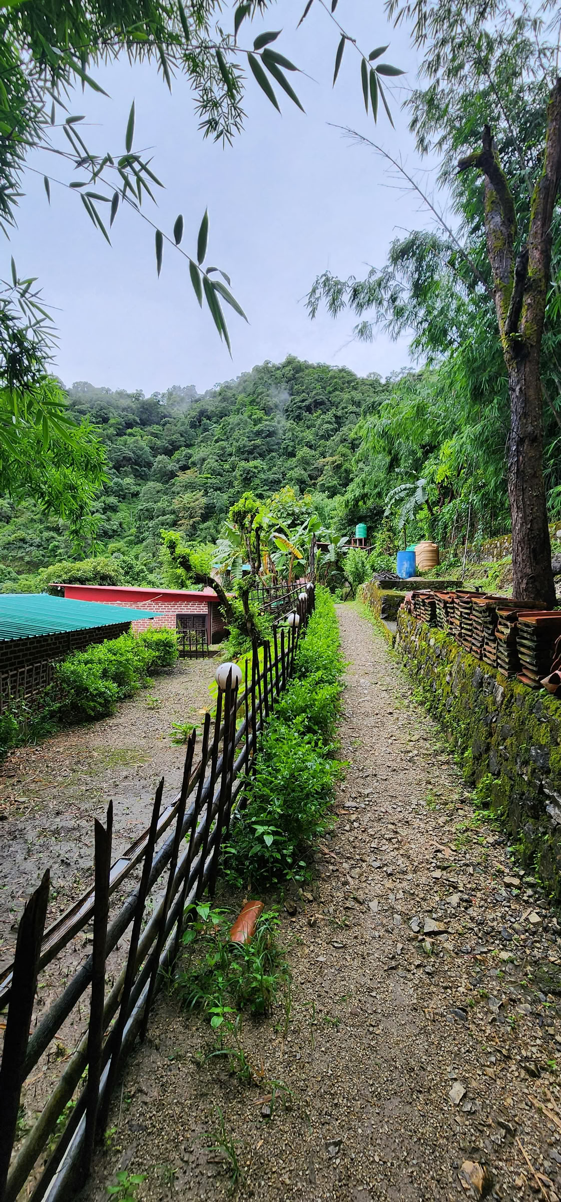 6-tägiges Surrender-Retreat in Rishikesh