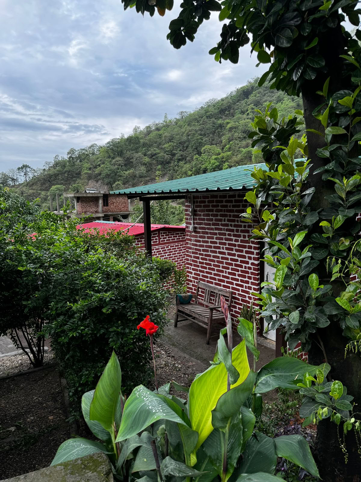 6-tägiges Surrender-Retreat in Rishikesh