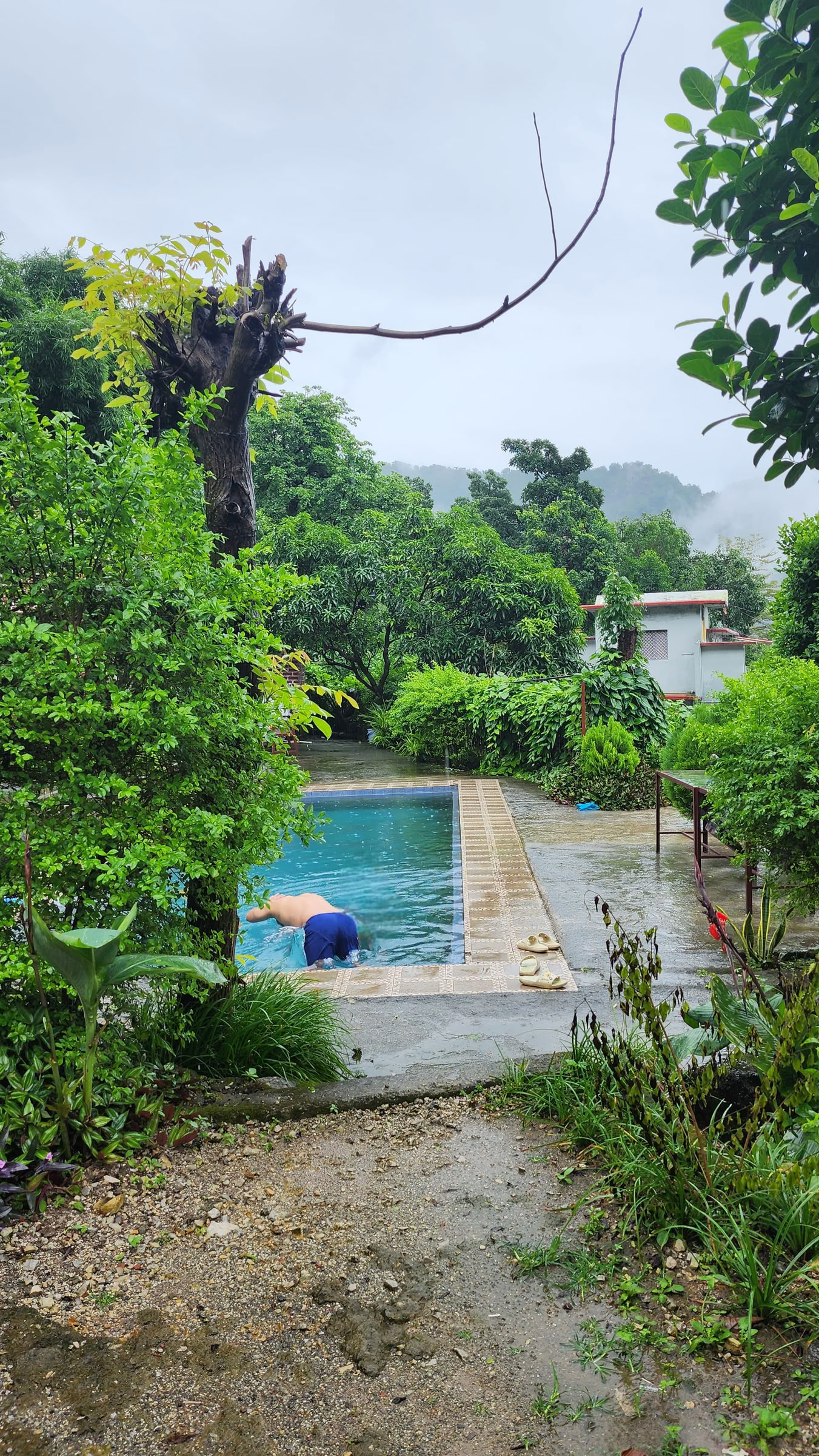 6-tägiges Surrender-Retreat in Rishikesh