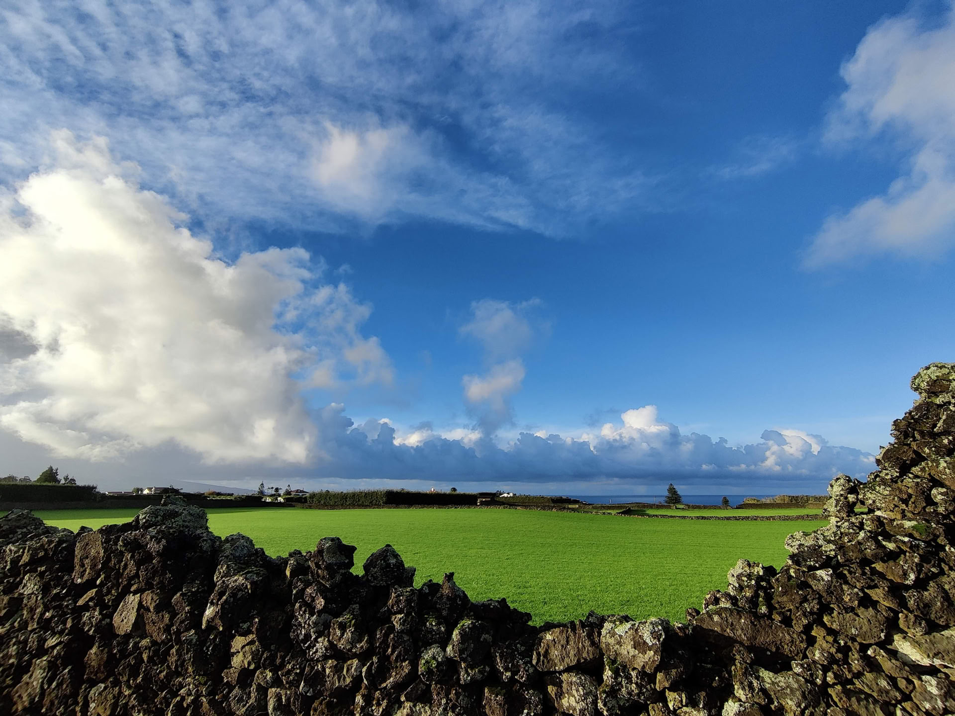 Eintauchen in MYMINUVIDA – MINUVIDA AZORES