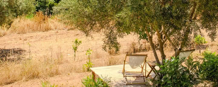 Retreat mit Sian Horn