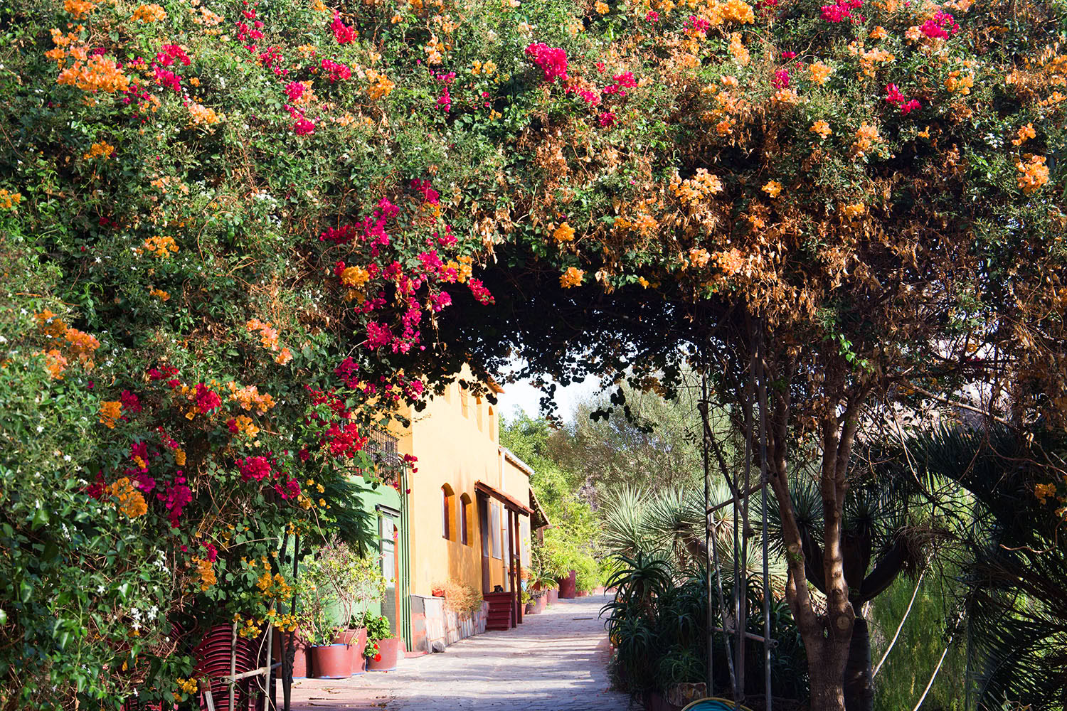 Elementares Retreat