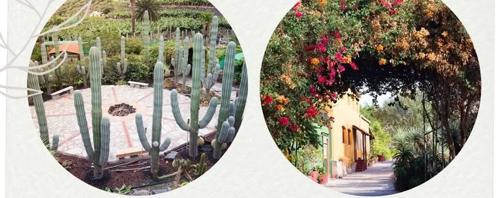 Elementares Retreat
