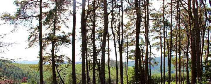 Rückkehr nach Mucklagh – Samhain — Mucklagh Lodge
