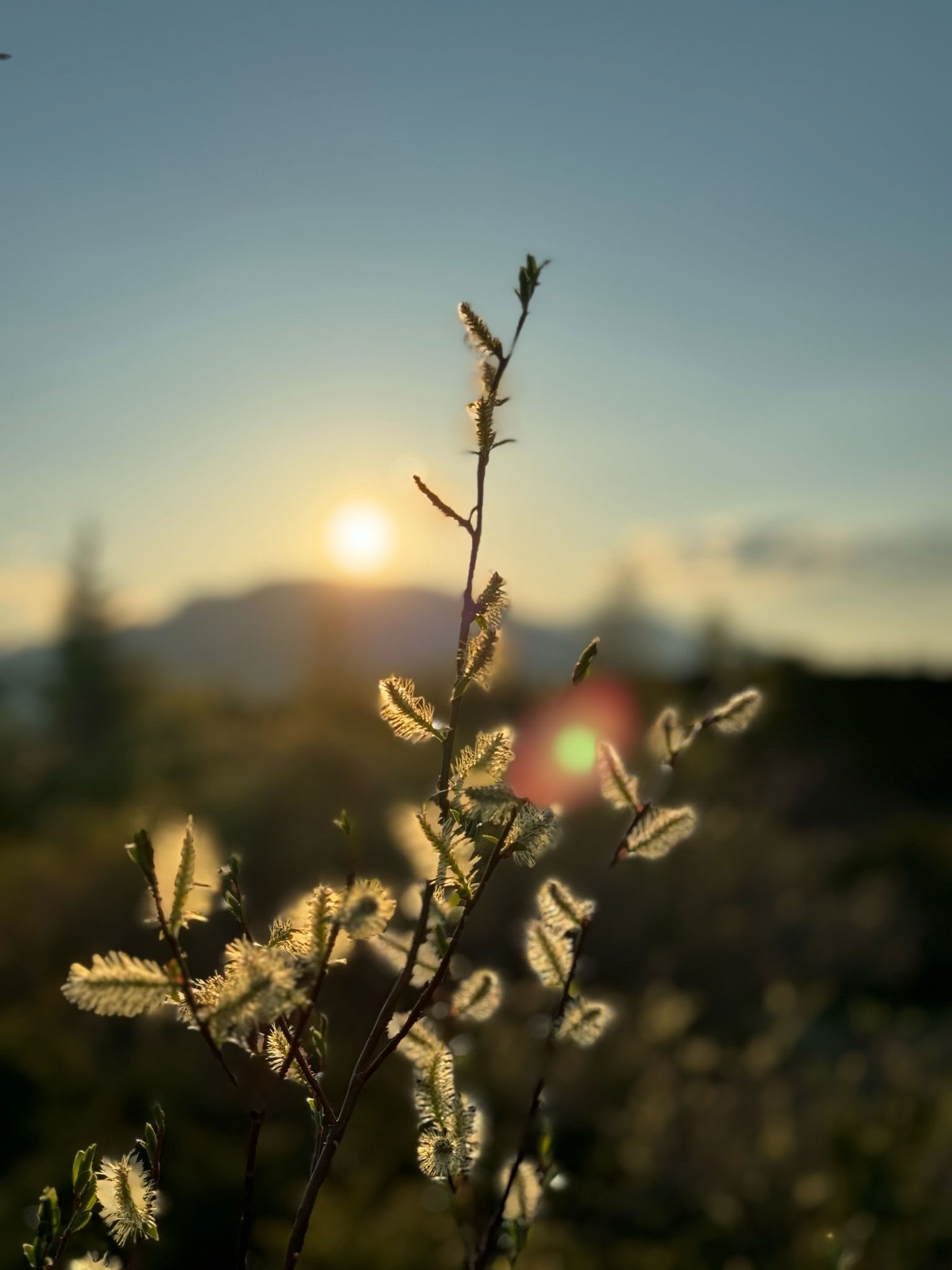 Herbstatem: Ein erholsames Yoga-Retreat zur Stresslinderung