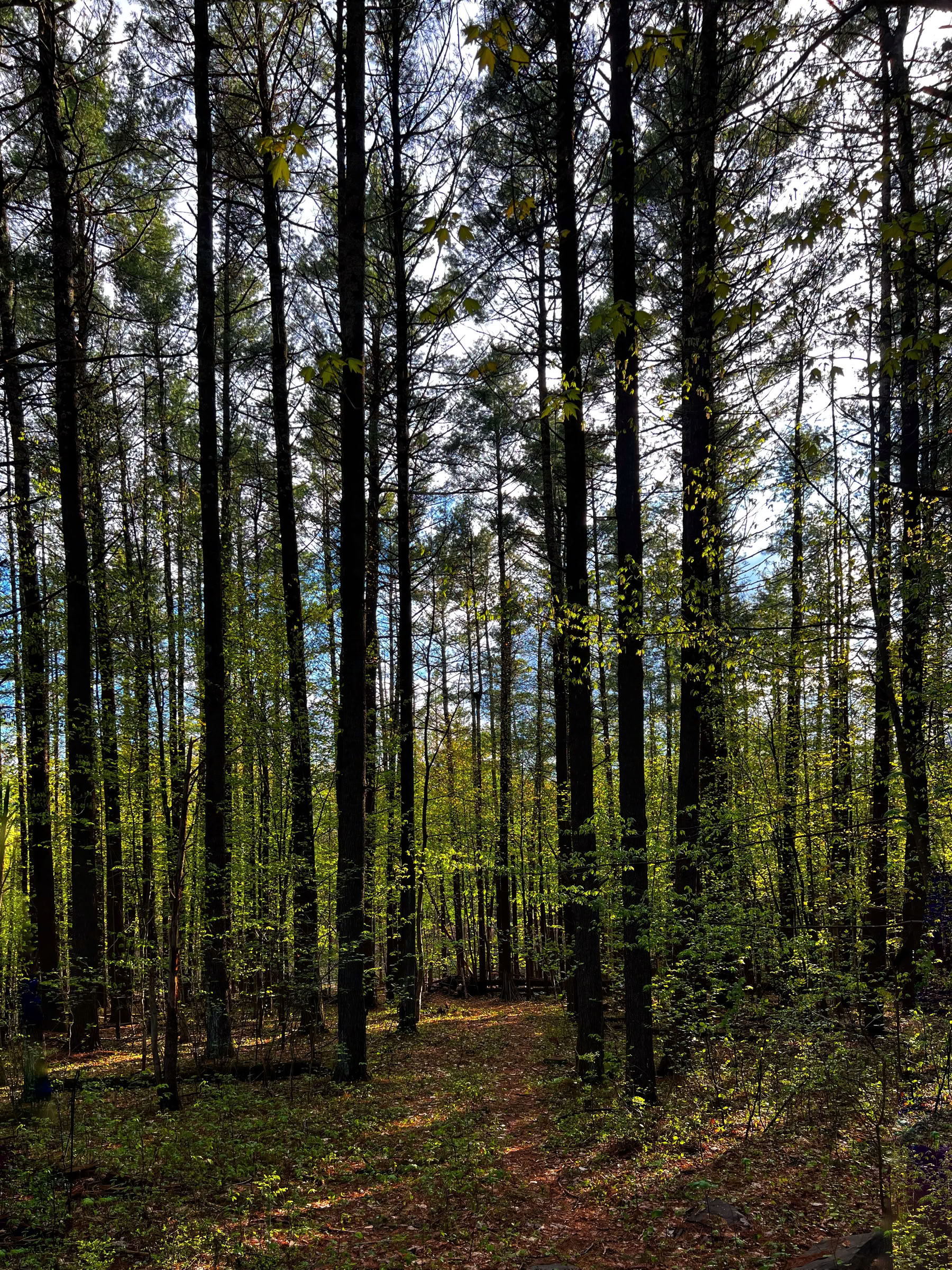 Sages Retreat - 16.–18. Oktober 2026