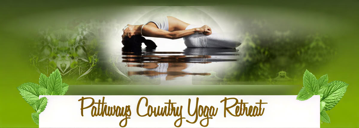 100-Stunden-Yoga-Nidra-Lehrerausbildung