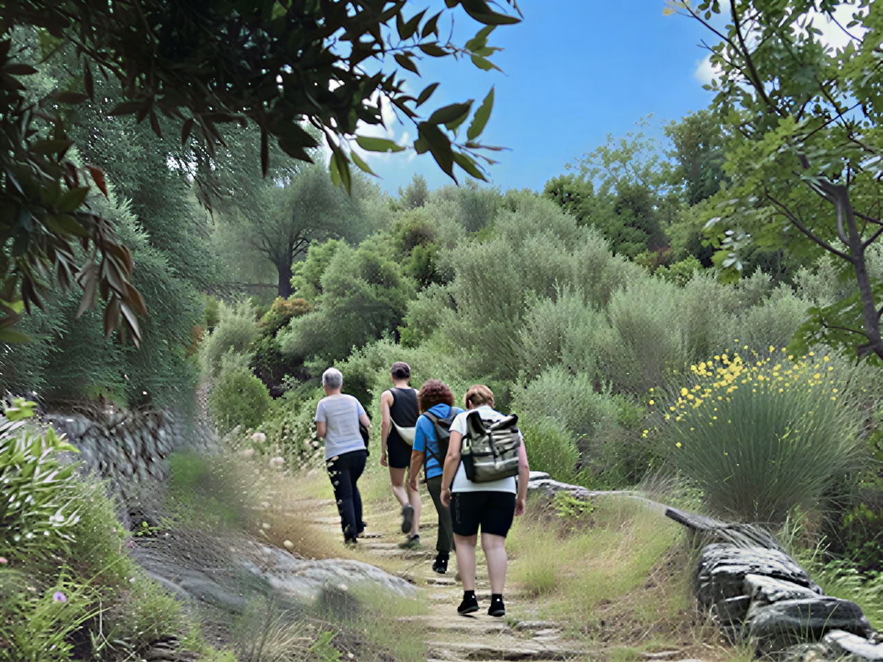 Achtsames Wandern