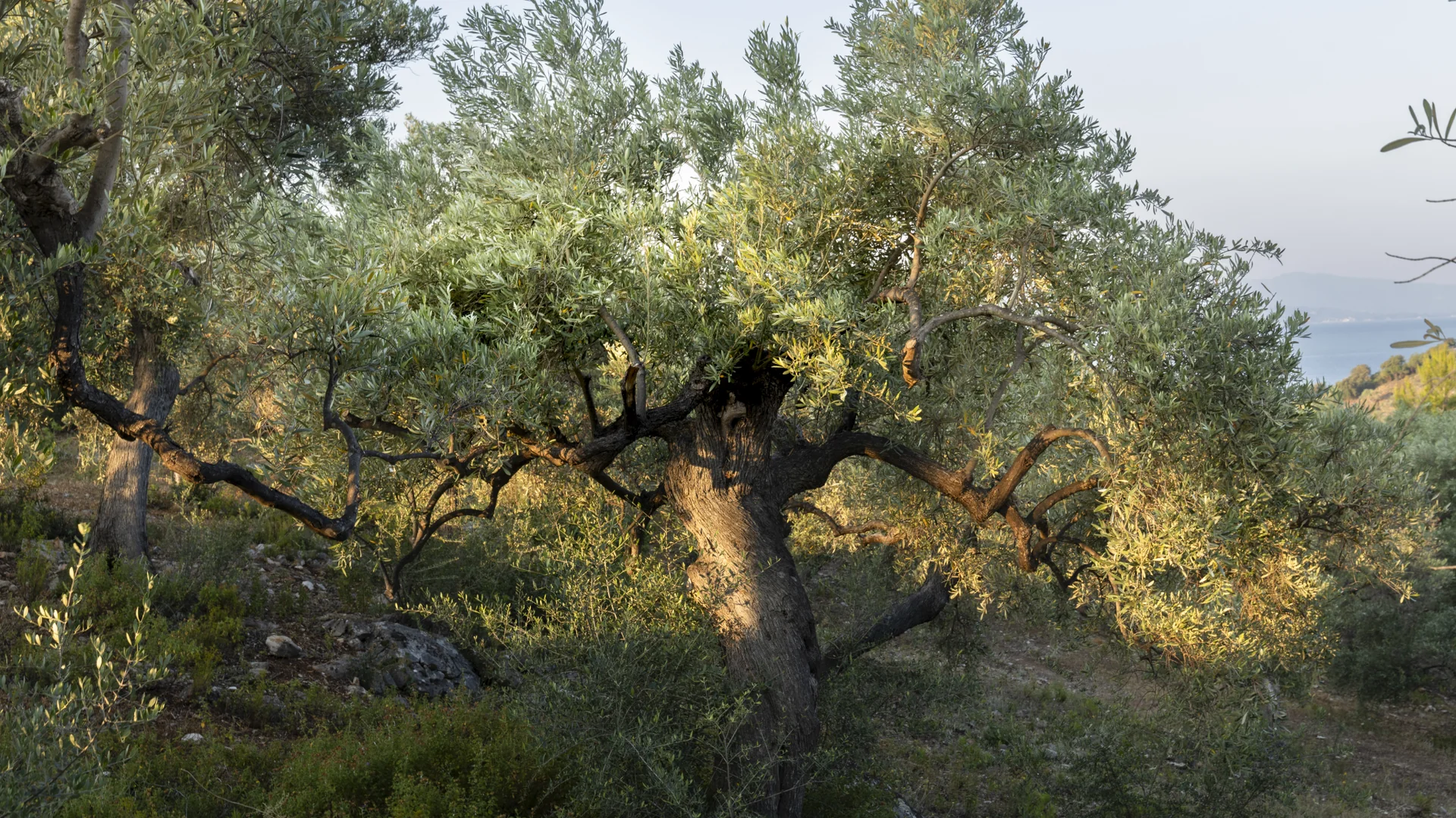 Achtsames Wandern