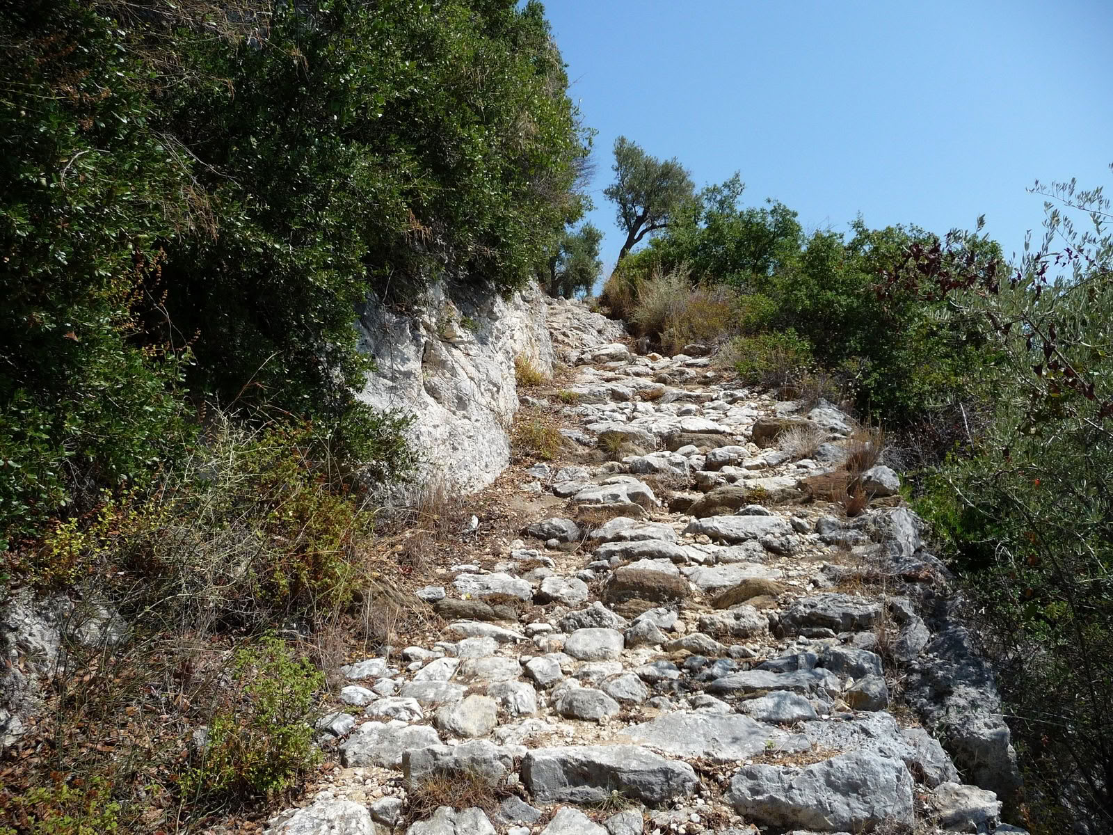 Achtsames Wandern