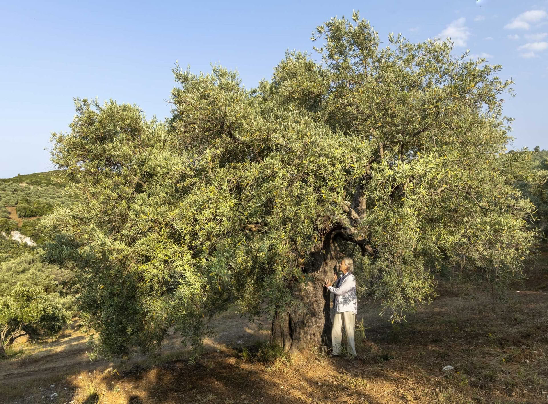 Neues Weisheits-Retreat – Die Stille der Ernte