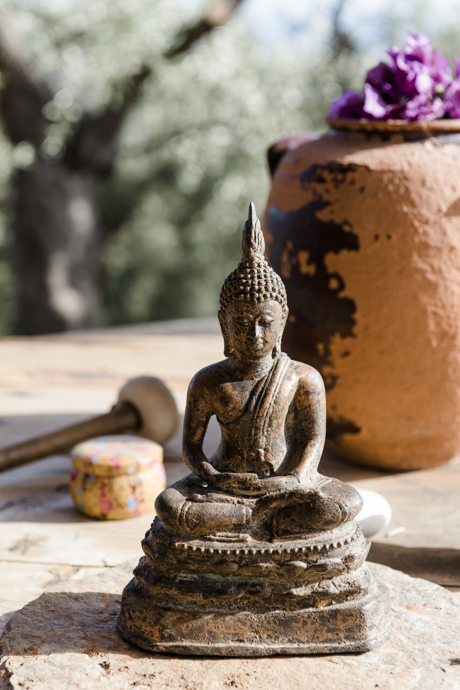 Neues Weisheits-Retreat – Die Stille der Ernte