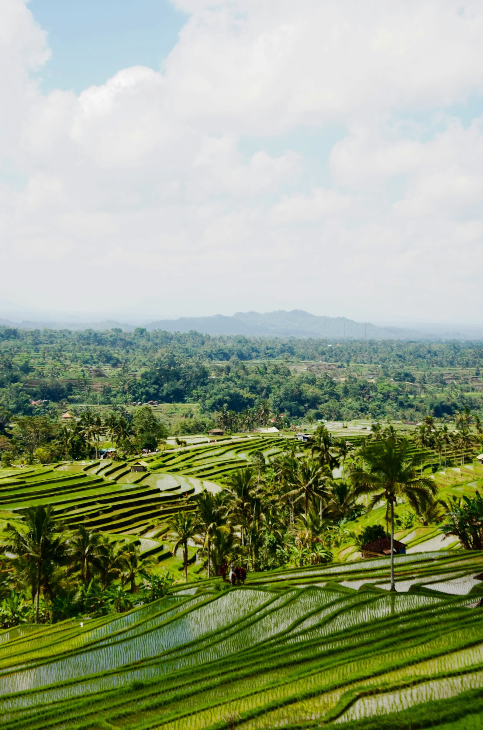 Bali abseits der ausgetretenen Pfade: Ein ruhiger Tag im Westen